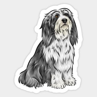 Cute Bearded Collie Dog Sticker